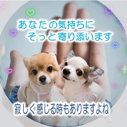 介護職の皆さん(^^)/話したいこと何でも聞きます 介護現場での愚痴や悩みなんでもお聞きします イメージ4