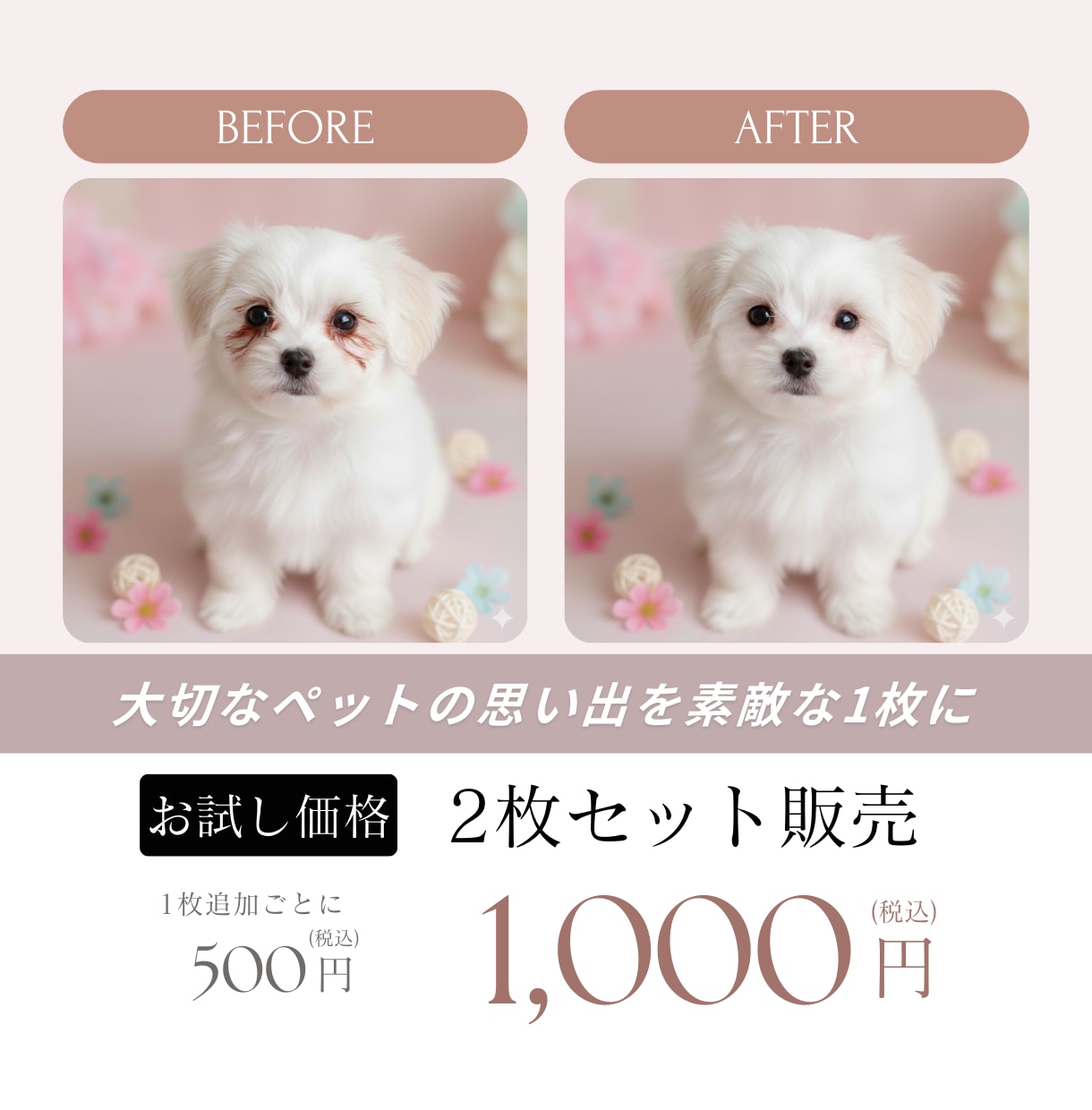 ペットの画像補正＆背景合成で特別な1枚にします 可愛い写真をもっと可愛くします！涙やけなどが気になる画像も！ イメージ1