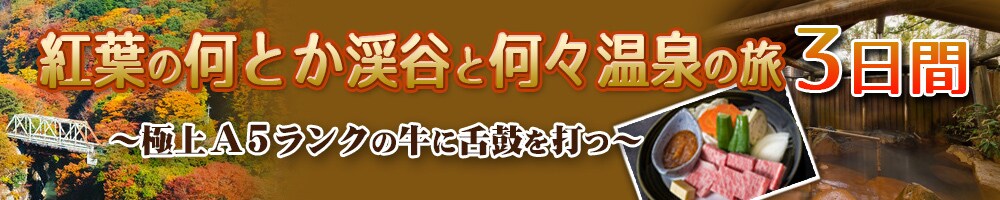 コスパ最高！ハイクオリティー！なバナー制作します ココナラOPENキャンペーン！先着20作品！格安1500円で イメージ8