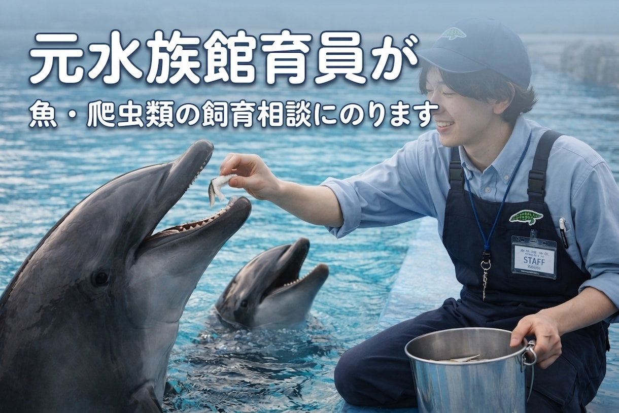元水族館飼育員が魚・爬虫類の飼育お悩み相談のります 熱帯魚・金魚・メダカから爬虫類まで元水族館飼育員がアドバイス イメージ2