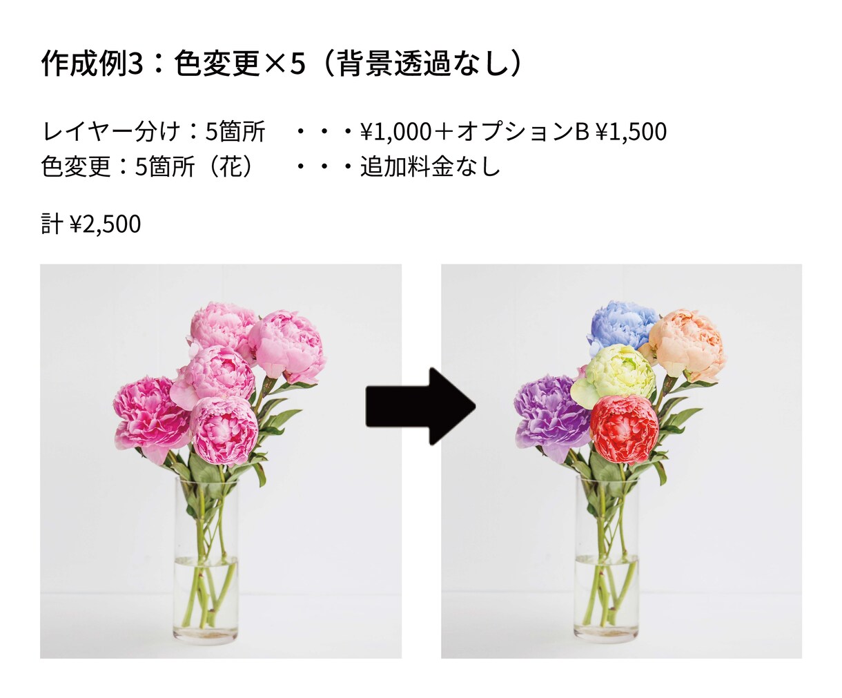 画像のレイヤー分け・色変更いたします 【販促用商品画像、オリジナル商品のプリントデータなどに】 イメージ5