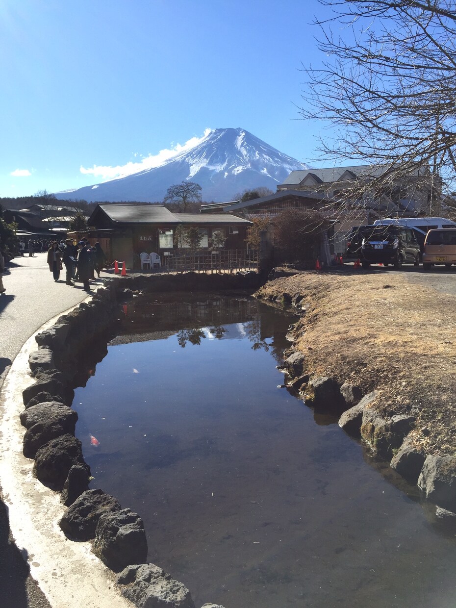 あなたの話し相手になります ただ聞いてほしい、意見がほしい、あなたの要望に応えて イメージ1