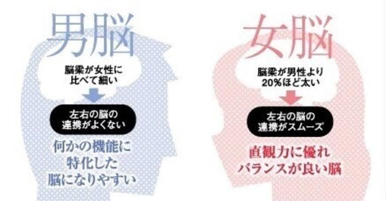 脳科学｜男性脳と女性脳の違います 脳の仕組みを理解をして異性関係をコンプリートしよう！ イメージ1