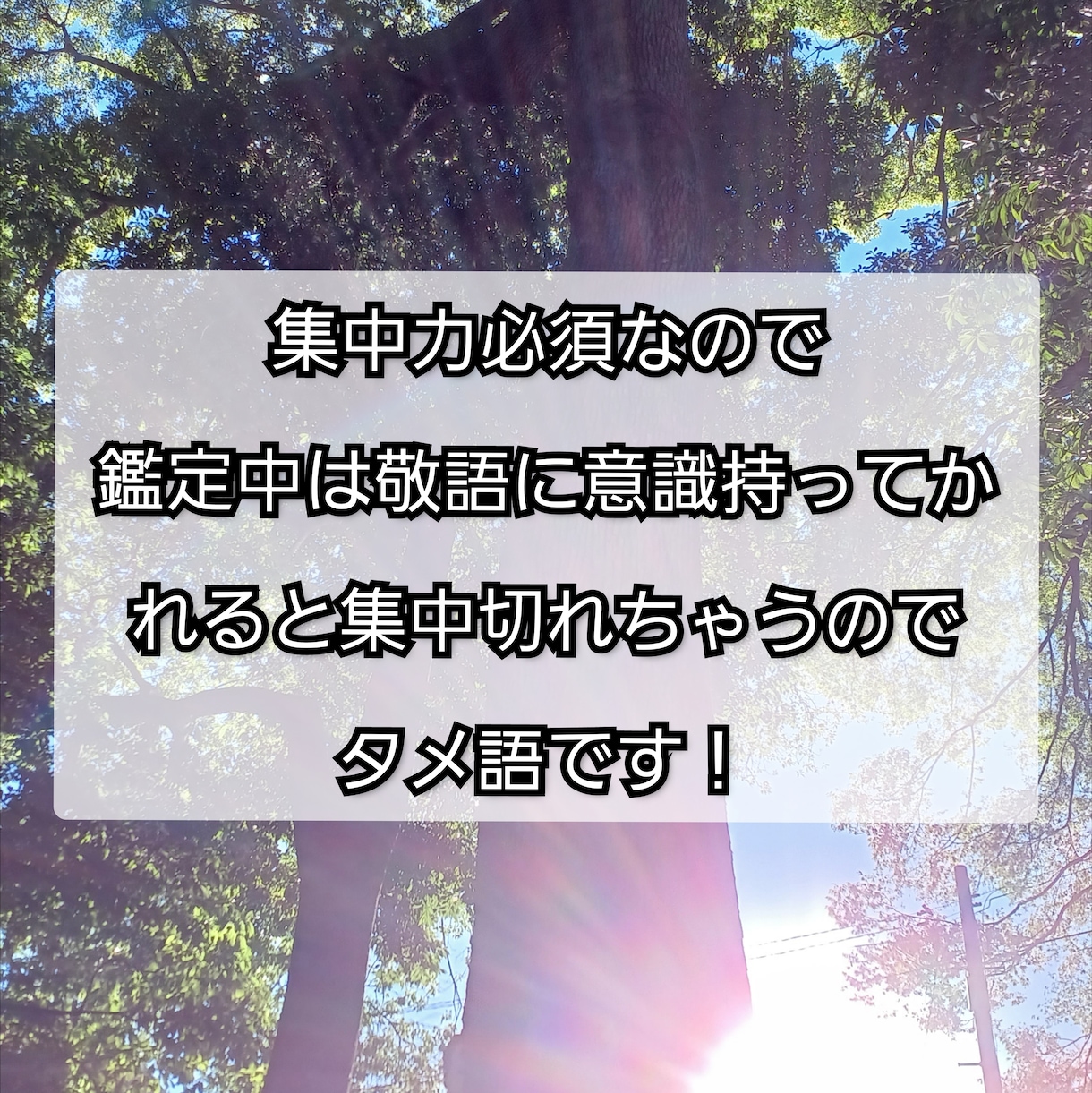 女性リピーター様❤再来限定で❤桜乃つぼみが占います 仕事✨恋愛✨家庭✨複雑etc.タロットを使って辛口鑑定します イメージ3