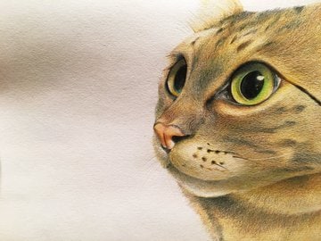 お客様のペットをモノクロでリアルに模写致します ペットのイラストを飾りませんか？？ イメージ2