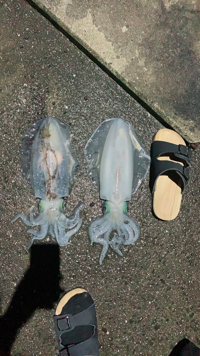 なんでもお話聞きます 悩み相談等お話しお聞きします。気にせずどうぞ。 イメージ1