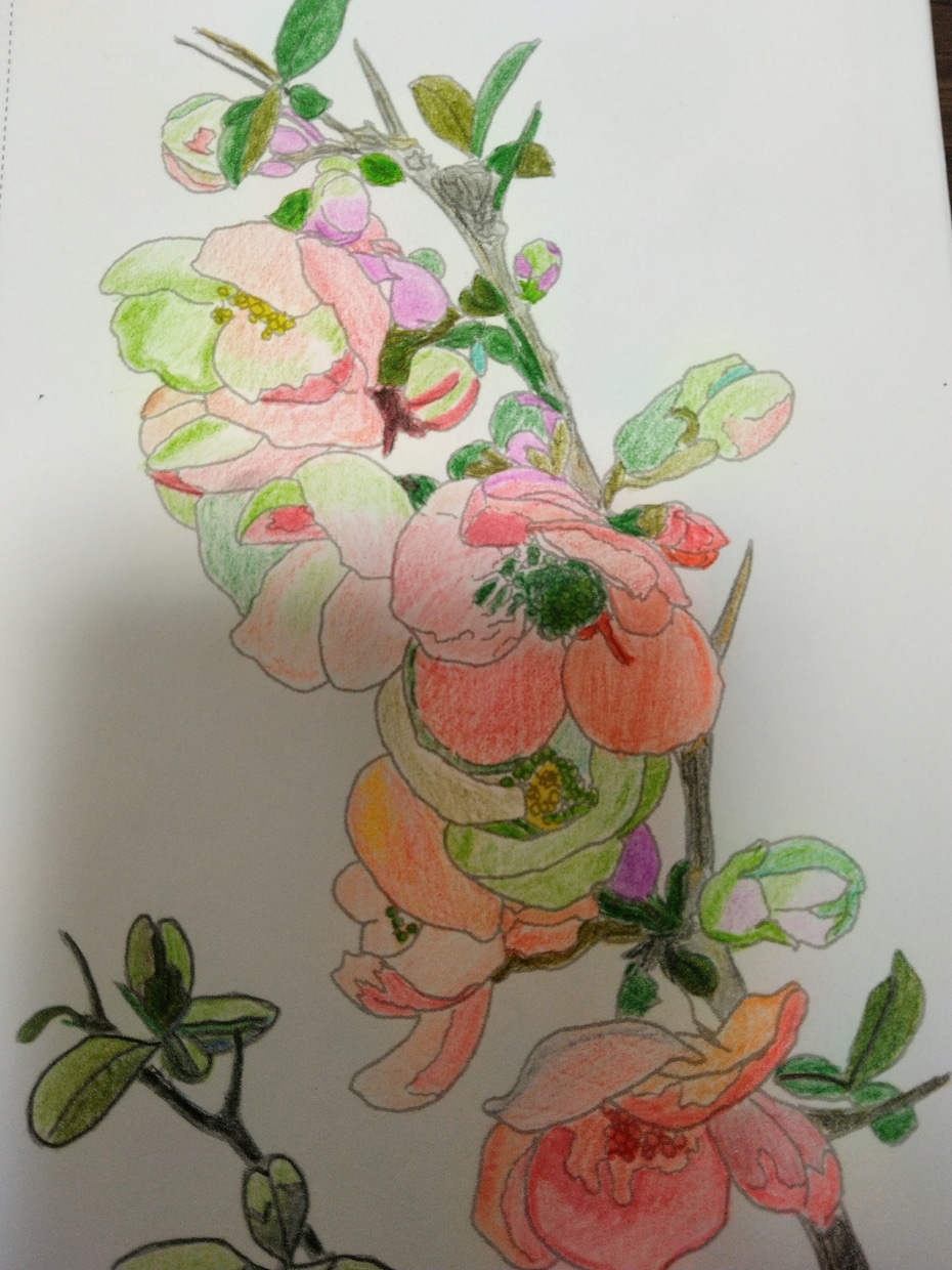 世界に1つだけの塗り絵あります アナログ塗り絵お手元にお届けいたします！ イメージ2
