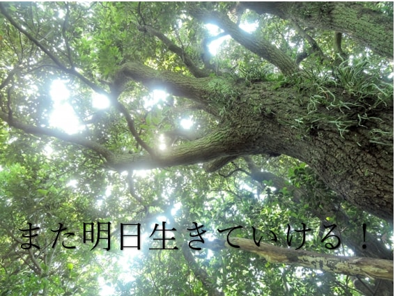 今すぐ話したい人限定！何でもお聞きします 周りからはイケボと言われます！イケボで応対いたします！ イメージ9