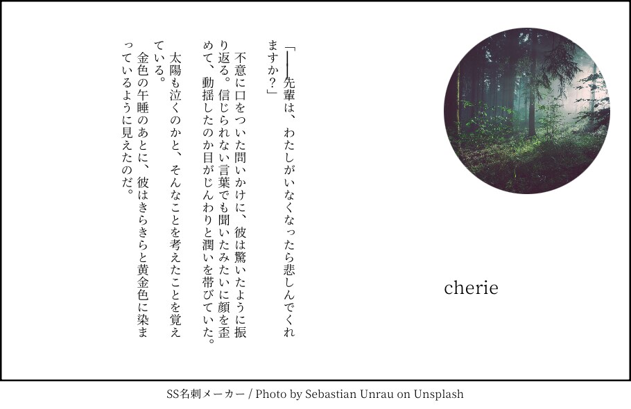 L判雰囲気小説お書きします L判サイズのあなただけのちいさな物語。 イメージ3