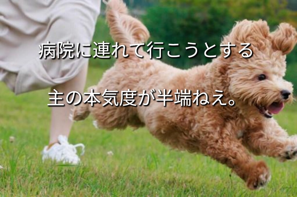 気軽に使ってね♪あなたの女友達になります 女性と話す練習や恋愛相談・雑談・愚痴・優しく受けとめます。 イメージ8