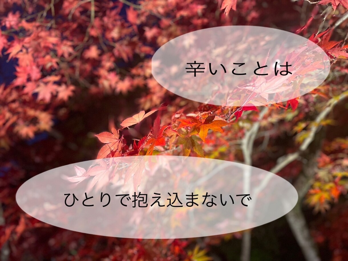 NG話題無し！なんでも受けとめます あなたはひとりじゃない！ゆっくりとお話しましょう！ イメージ3