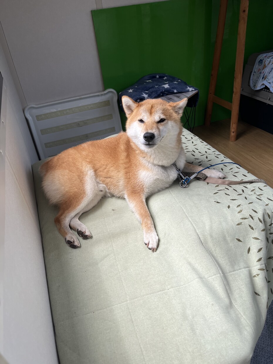 何でもいいです、必ず導きます 溜め込むのではなく口に出してみて下さい。楽になると思います。 イメージ1