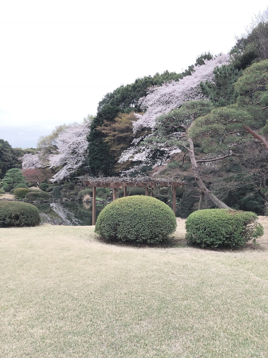 恋愛相談✩.*˚力になります 片思いから失恋、復縁まで✩.*˚一緒に考えましょう！ イメージ1