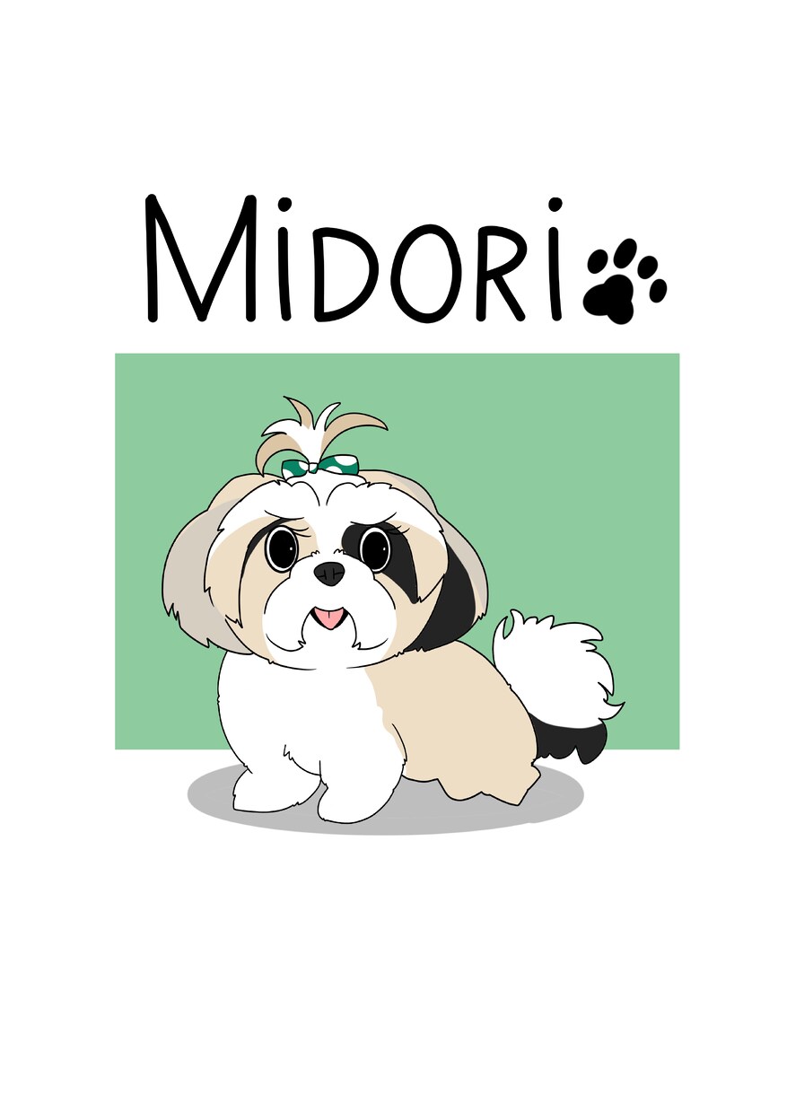 可愛いシンプルなコミックタッチの似顔絵お描きします お目目がくりくりの可愛いシンプル似顔絵です イメージ6
