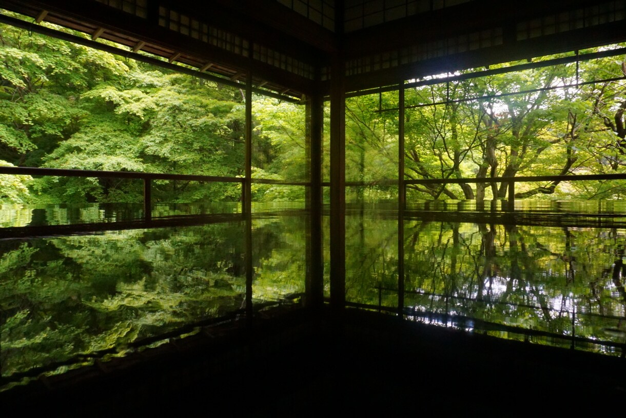 一眼レフでどんな方もキレイにお写真撮ります マッチングアプリ等の写真、記念写真など、お任せください！！ イメージ7