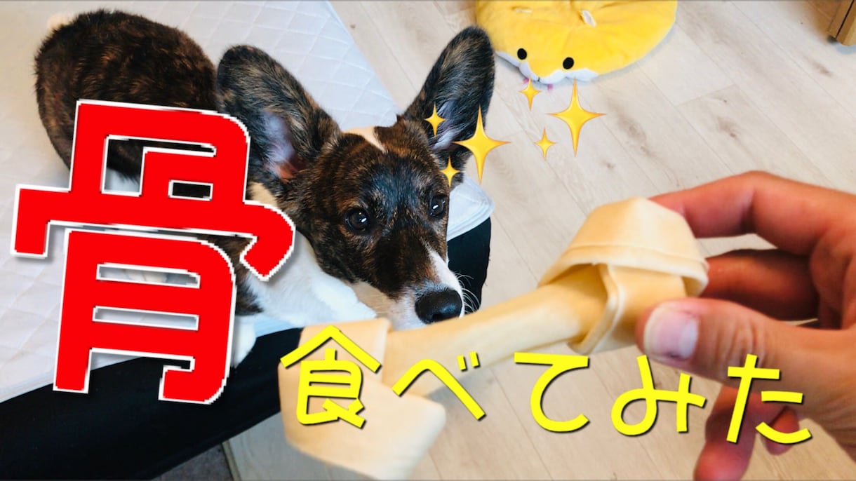30分程の動画、ステキに編集します サムネイル作成、テロップ入れなど含め、素敵な作品を作ります！ イメージ2