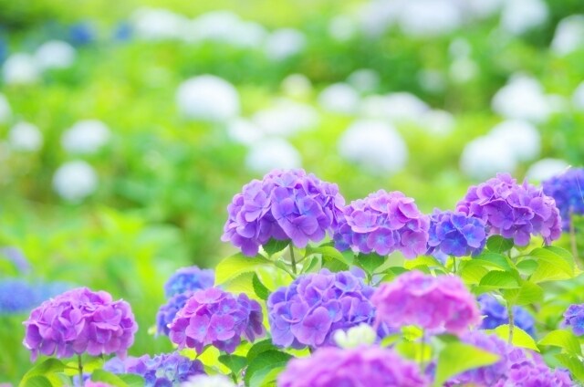 自己分析に♪あなたの長所をカードでだします 就活前にも！あなたの長所を知って今この瞬間からあなたらしく♪ イメージ7