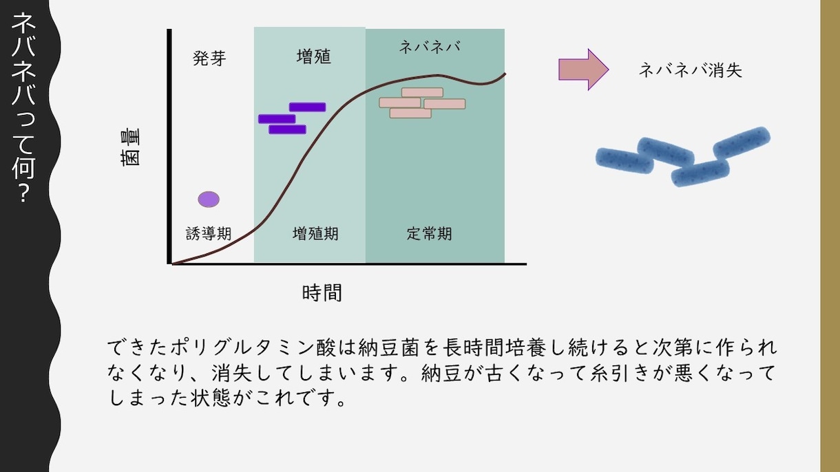 菌の知りたいこと疑問を解説します 発酵食品を作る方、食べる方へ、欠かせない「菌」の事解説します イメージ5