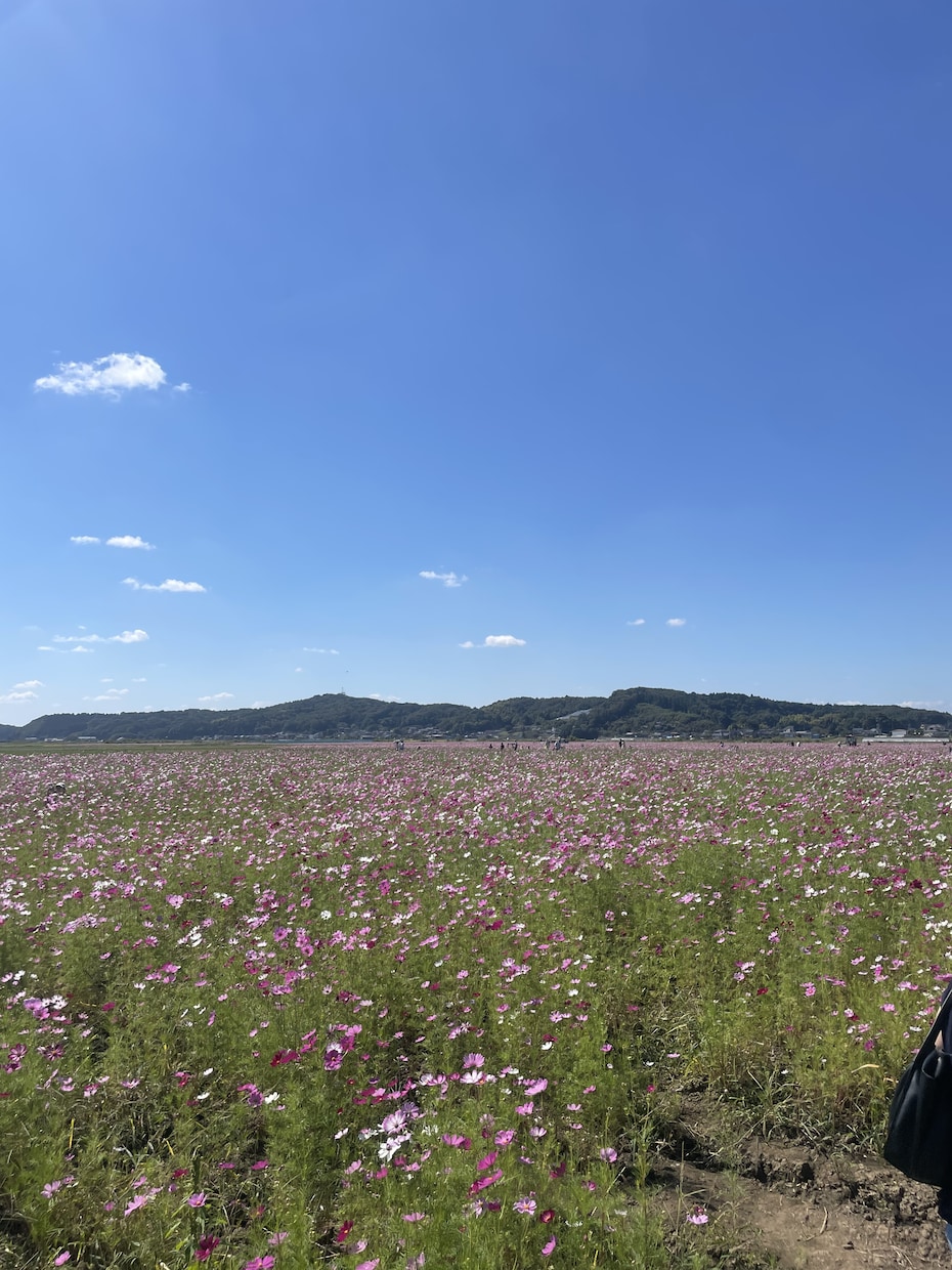 人生の悩みや恋愛相談などなんでもお聞きします あなたの心の中にいるモヤモヤを一緒に解決します イメージ1
