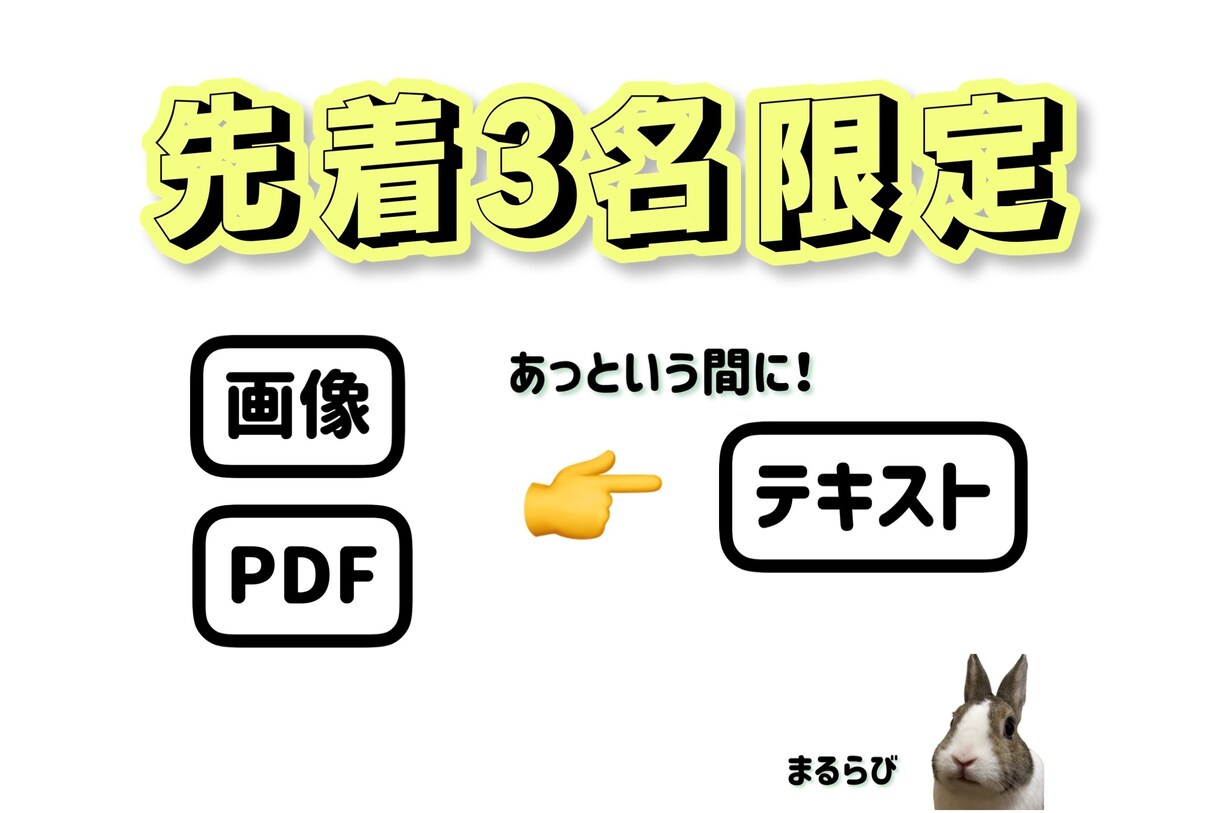 格安で画像・PDFをテキスト化します お試し価格(3名限定)！迅速・丁寧にご対応いたします イメージ1