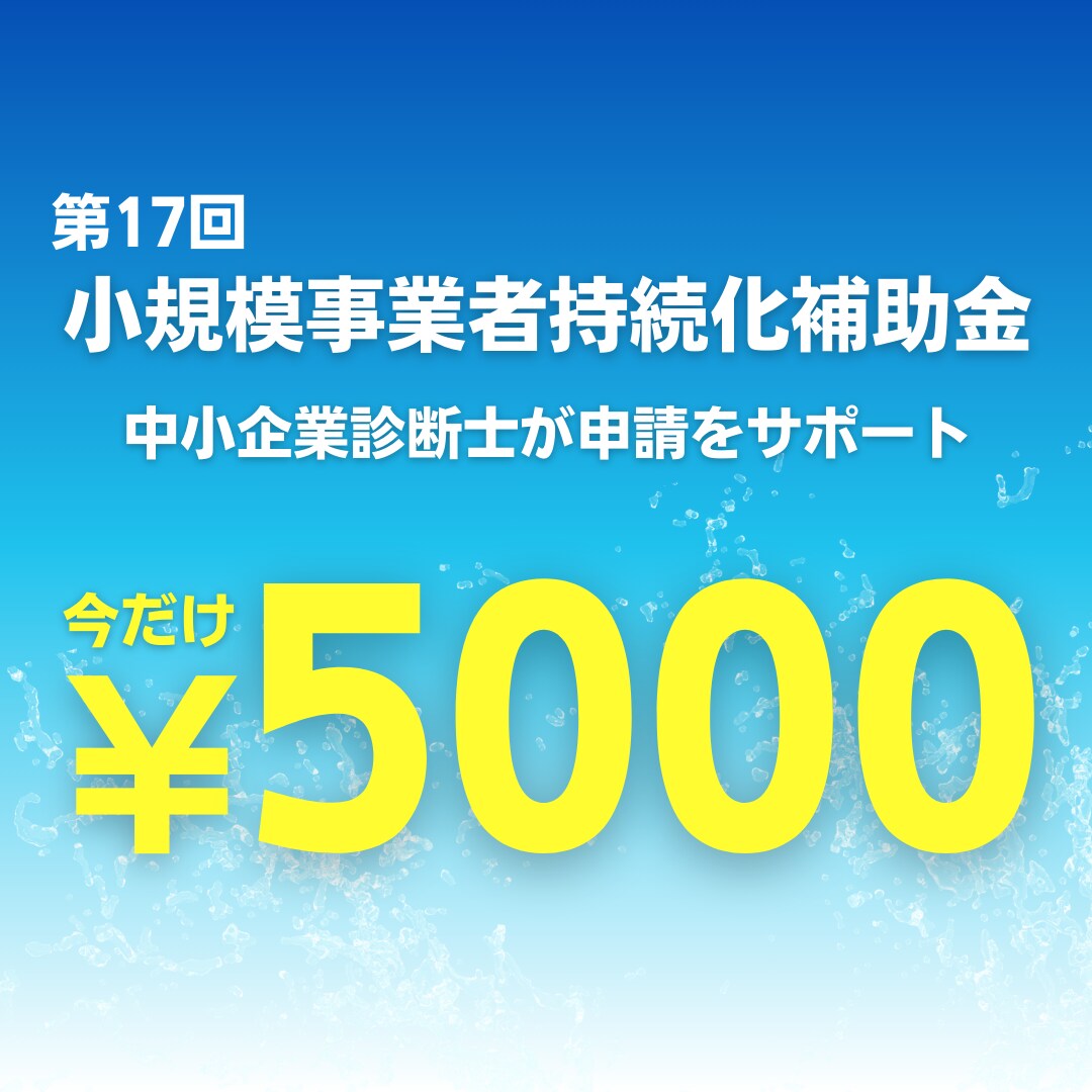 小規模事業者持続化補助金の申請をサポートします 【先着3名限定5000円】中小企業診断士が補助金申請サポート イメージ1