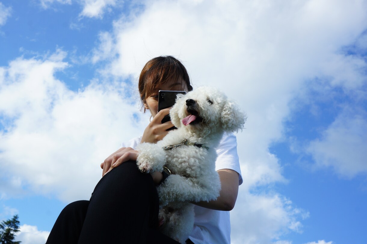 愛するペットのお写真を可愛く撮影します データだけでなくフォトアルバムもセットでお渡しします！ イメージ4