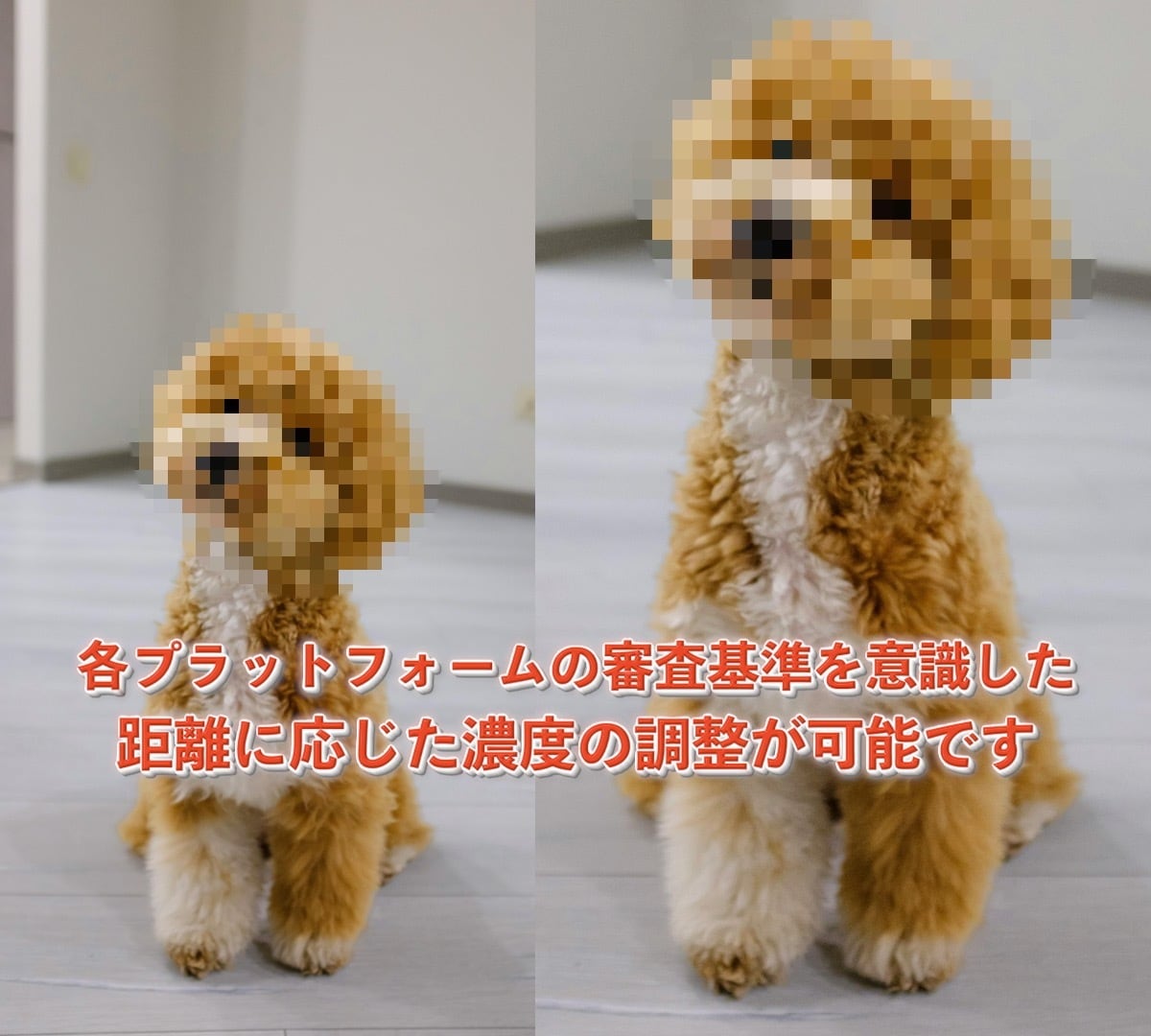 ファンクラブ・同人動画のモザイク・ボカシ編集します 大手アカウント・メーカー様実績あり！ イメージ3