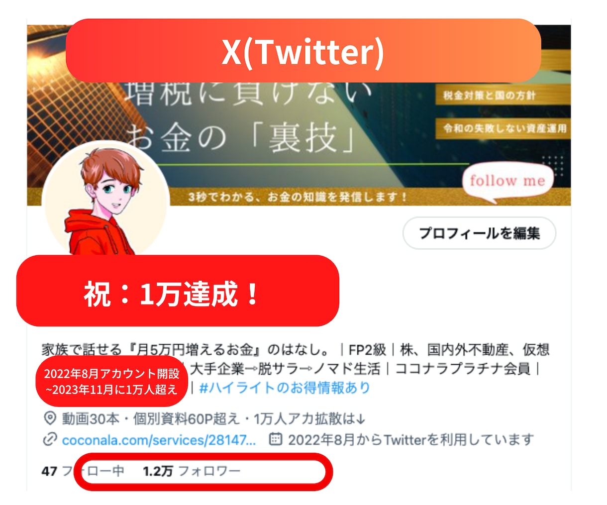 副業で稼ぐココナラ×Twitter(X)教えます ビデオチャット60分、30日間質問無料、拡散サービス付 イメージ4