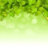 興味を引くブログタイトル考えます ブログのタイトルに悩んでる方、悩み解消します。 イメージ4