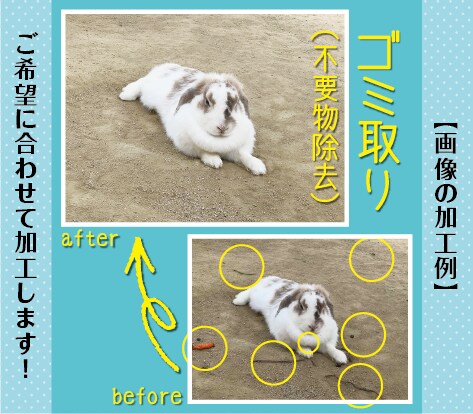 使えない写真を【使える写真に修正】します 色修正、切り抜き、合成、文字入れ等、まずはお問合せください！ イメージ3