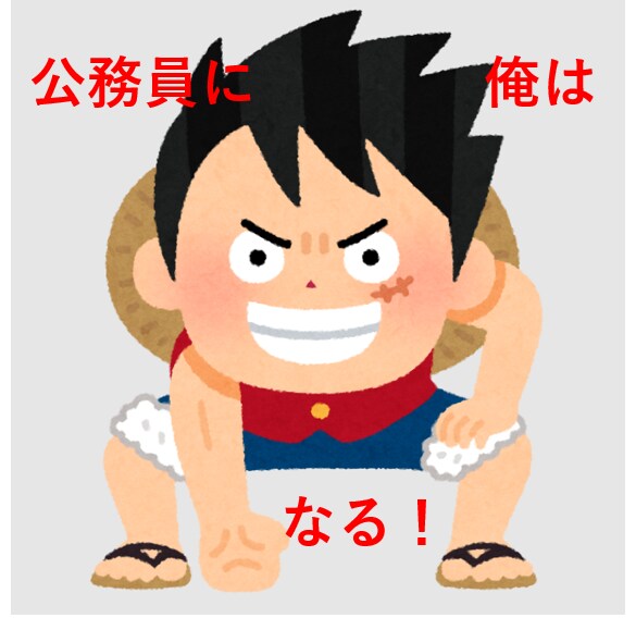 公務員試験　独学多めの勉強方法等の相談に乗ります 地方・国Ⅱレベル/行政職（複数合格実績あり） イメージ1