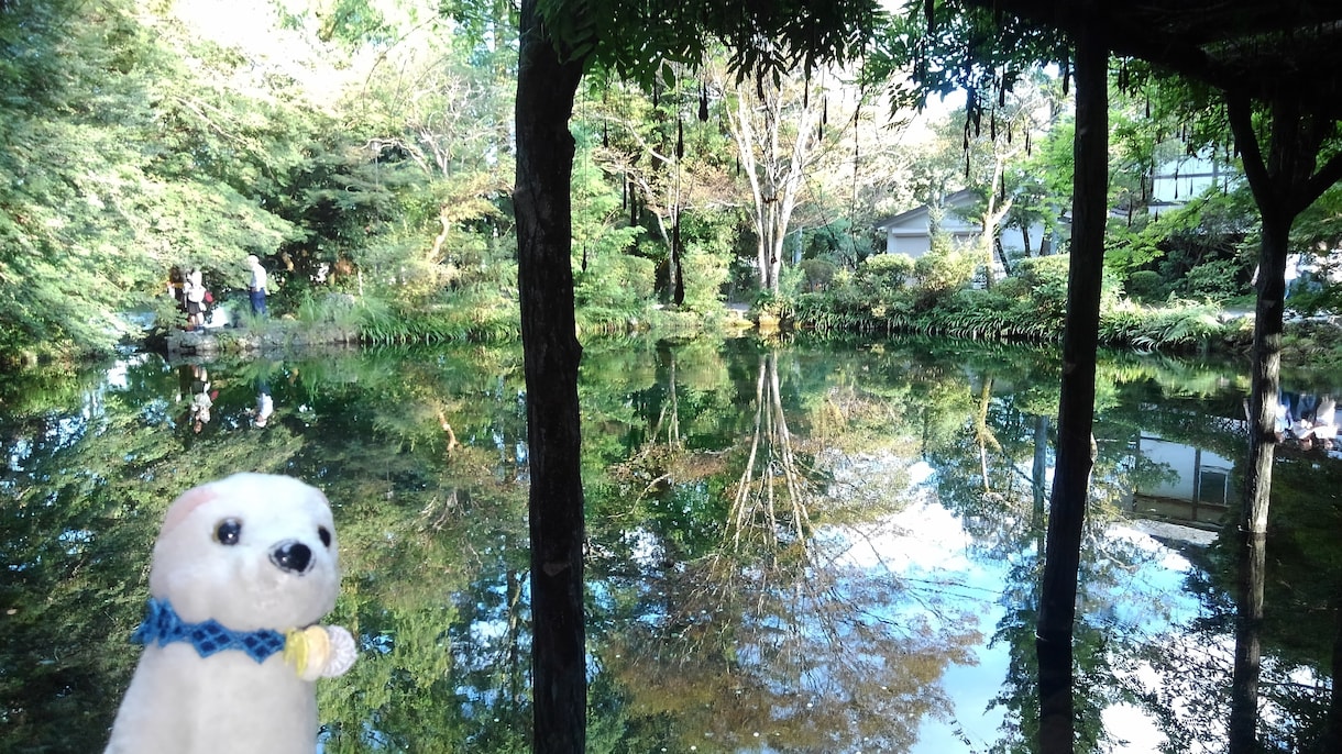 貴方が開運する！神社仏閣パワースポットお伝えします 貴方におすすめの神社を希望のご利益別に提案します♪ イメージ2