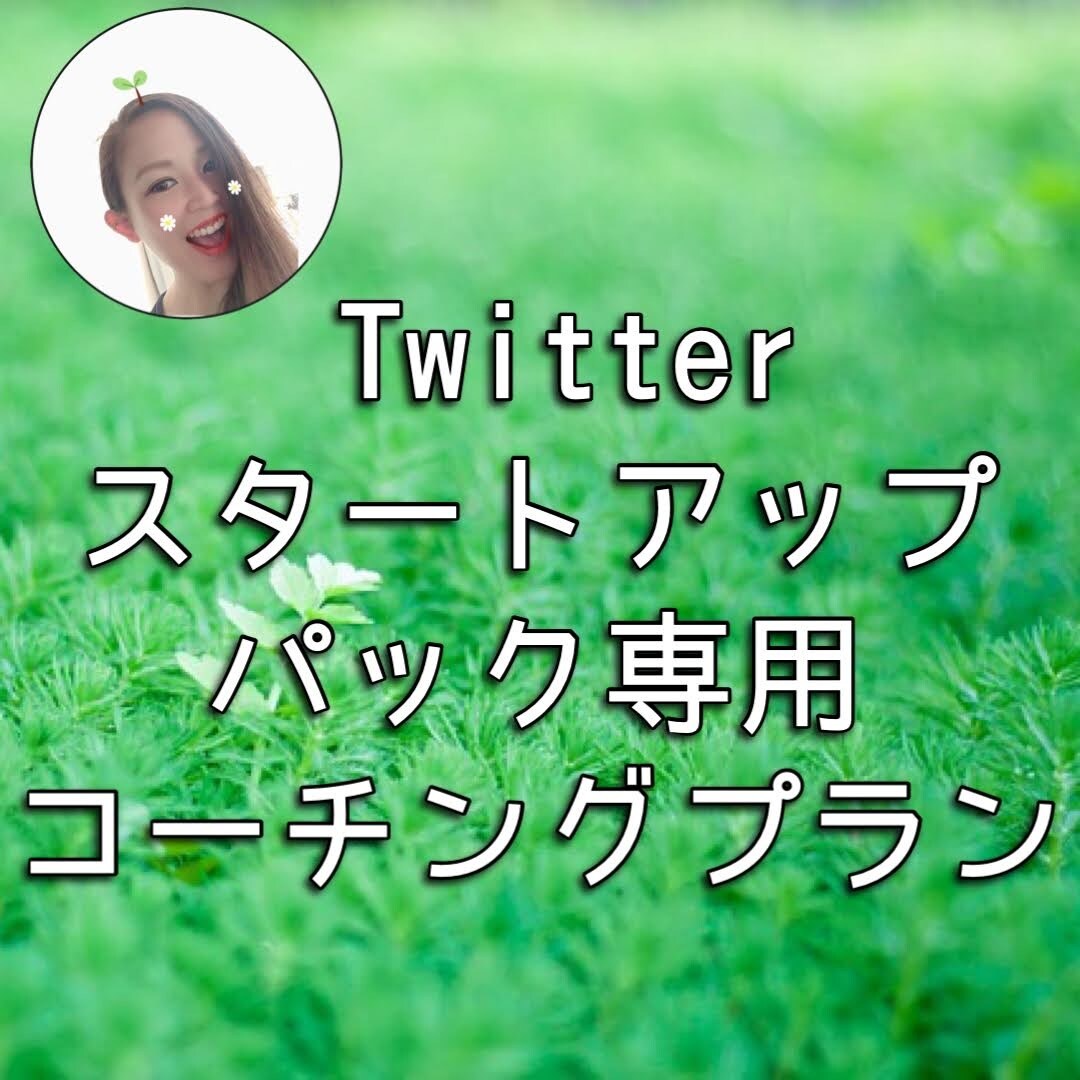 Twitterスタートアップ専用コーチングします 始めたばかりのTwitterで楽しく活動したい方へ イメージ1