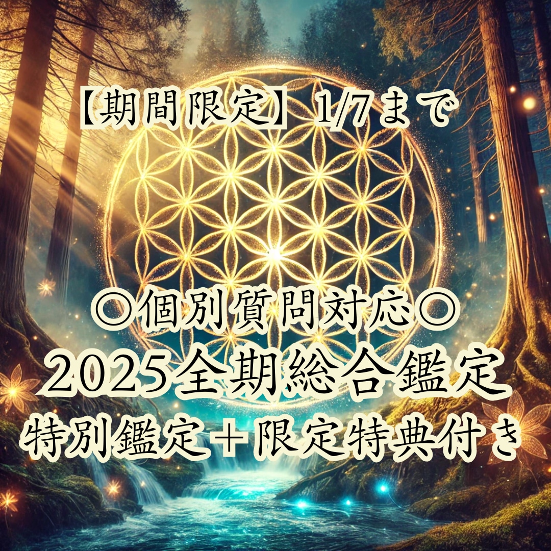 2025年全期総合鑑定《＋個別詳細鑑定》します 【期間限定】1/7まで特別鑑定＋限定特典付き イメージ1
