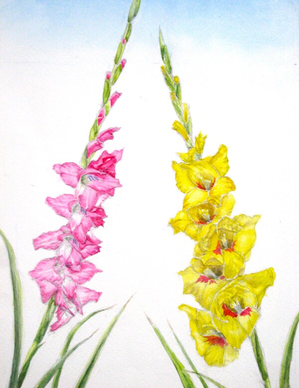お気に入りの花の写真を水彩画にします あなたの好きな花を作品にして飾りませんか？ イメージ3