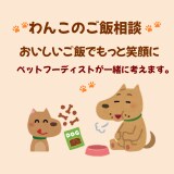 ワンちゃんの食事お悩み一緒に考えます うちの子のごはん、不安なままにしないために イメージ1