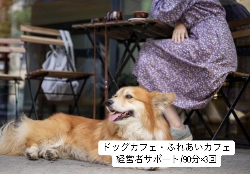 90分×3回犬カフェ経営者のお悩み解決します 犬の扱い方から犬と来客の関係性作りまで仕組み作りサポート！ イメージ1