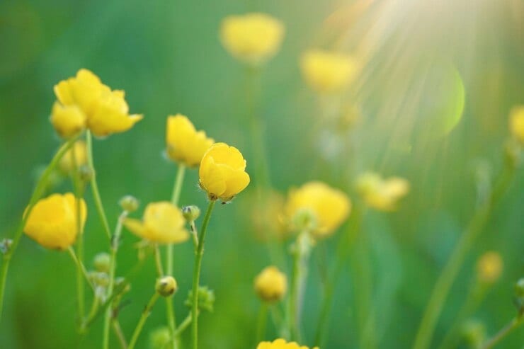 霊視❀身体の声から心と魂の本音を読み解きます あなたの魂に寄り添い、届いている魂の声をお伝えします❀ イメージ9
