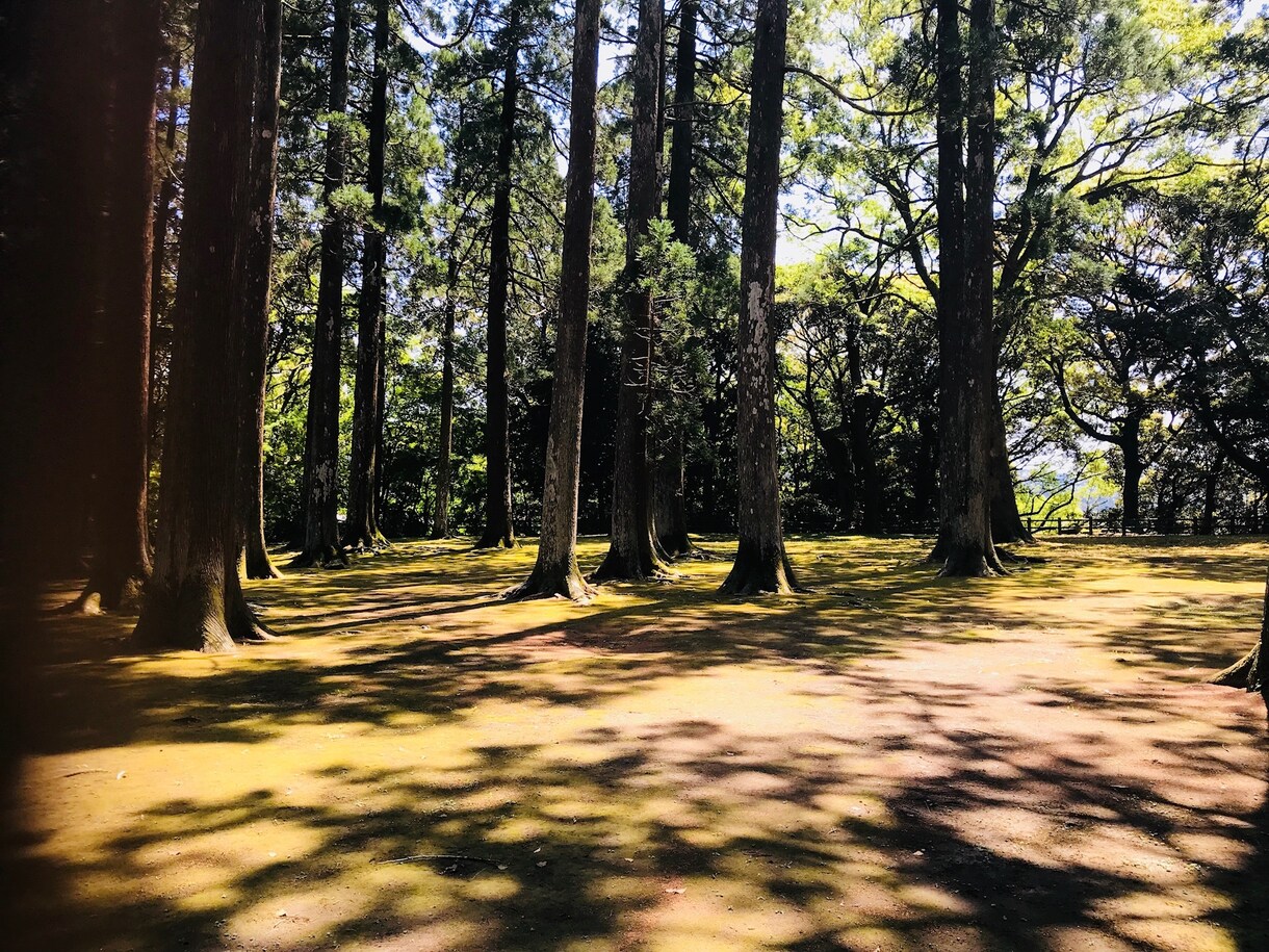こんな悩みを抱えたあなたの話を聞きます 他人だからこそ気楽に話せる。身近だから話せないこともある。 イメージ1