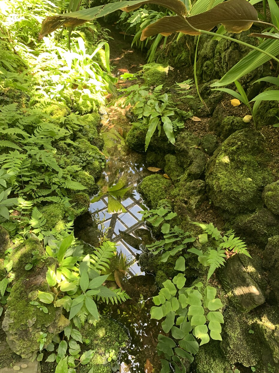 タロット占いでそのお悩みを癒します 心理カウンセラー兼タロット占い師です。 イメージ1