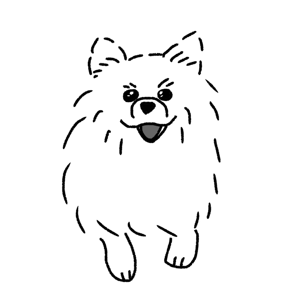 ゆるくてちょっぴり似ているペットの似顔絵を描きます かわいい家族のイラストをプレゼントやSNSアイコンにどうぞ イメージ1