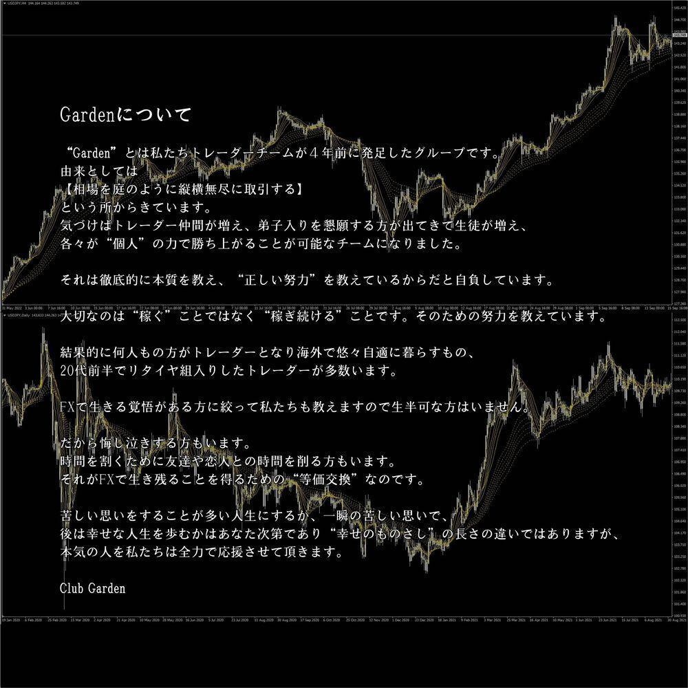 FX、バイナリーオプション用独自インジお譲りします スクール、サロン生配布用のSMA、EMA独自セッティング品 イメージ10