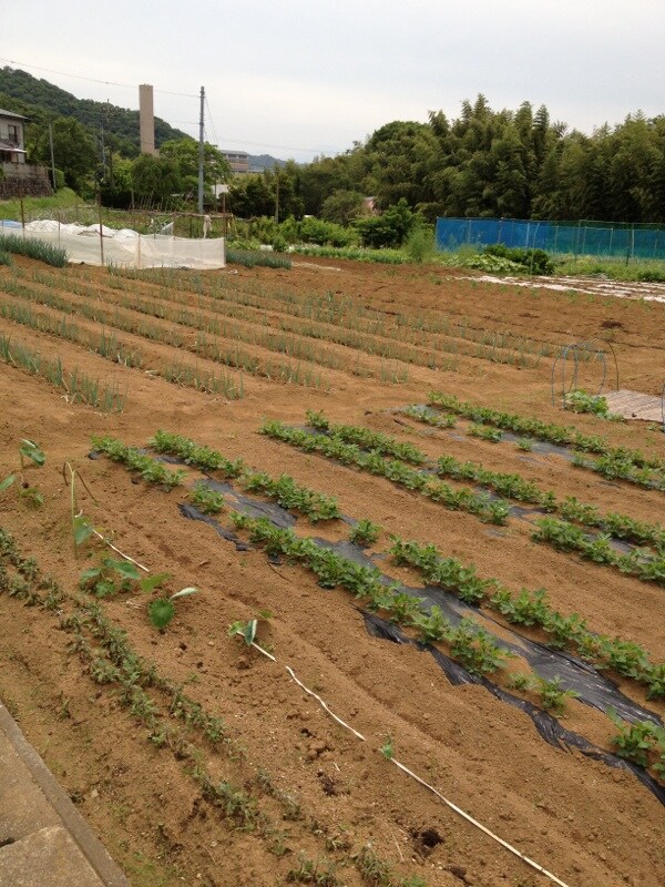 【新規就農者限定】 ITに関するお手伝いをします イメージ1