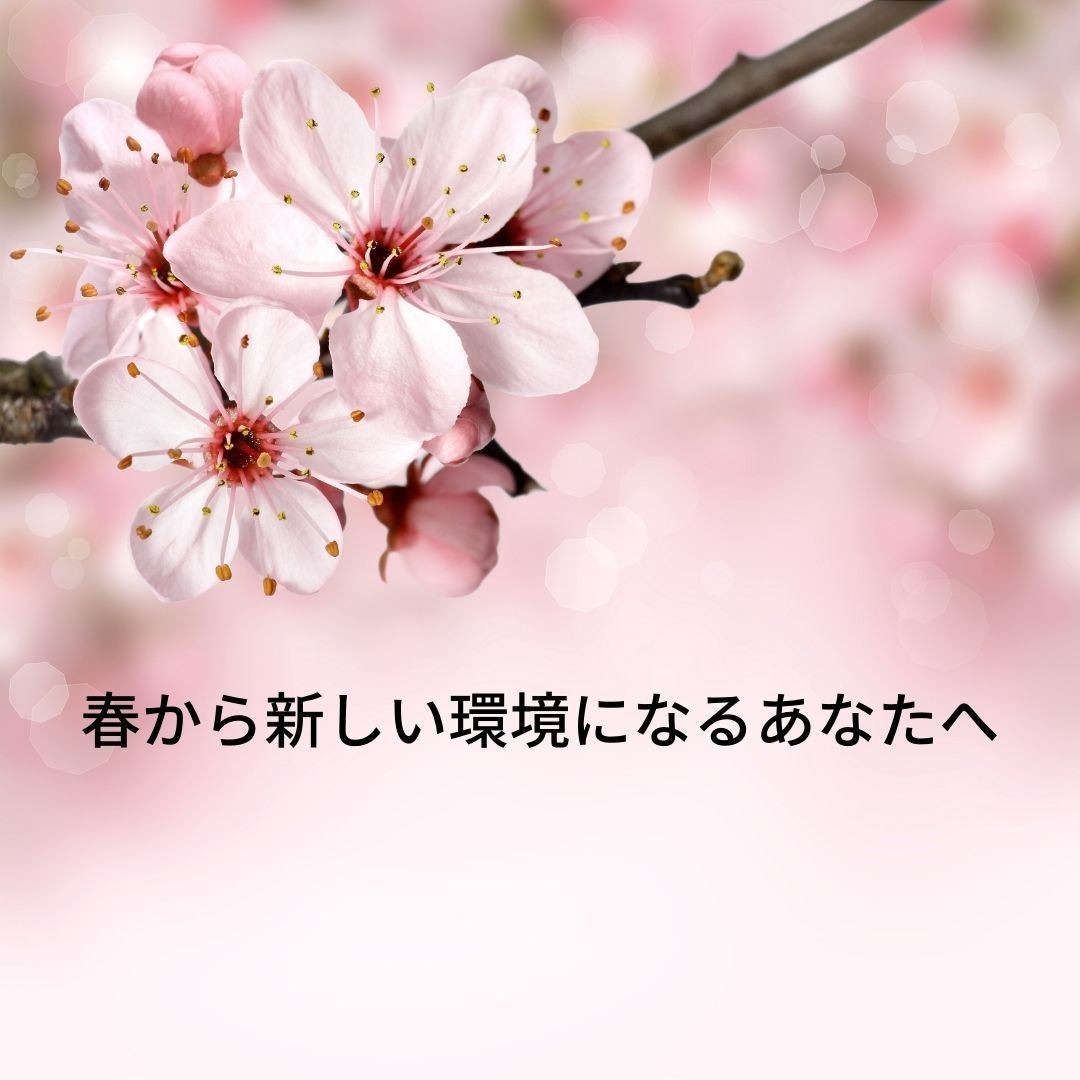 春から新しいスタートを切るあなたを応援します 新生活への不安や心配を減らし、スムーズに事を運びませんか? イメージ1