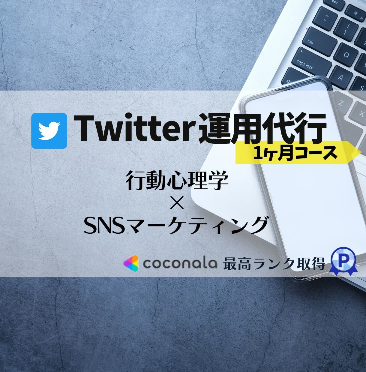 戦略的１ヶ月！Twitter運用代行します 業者と思わせない！運用立ち上げサポートあり！ イメージ1