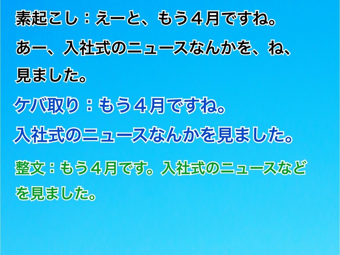 30分1000円。動画・音声などの文字起こします 元記者が音声文字起こしをします。迅速かつ丁寧な対応をします。 イメージ3