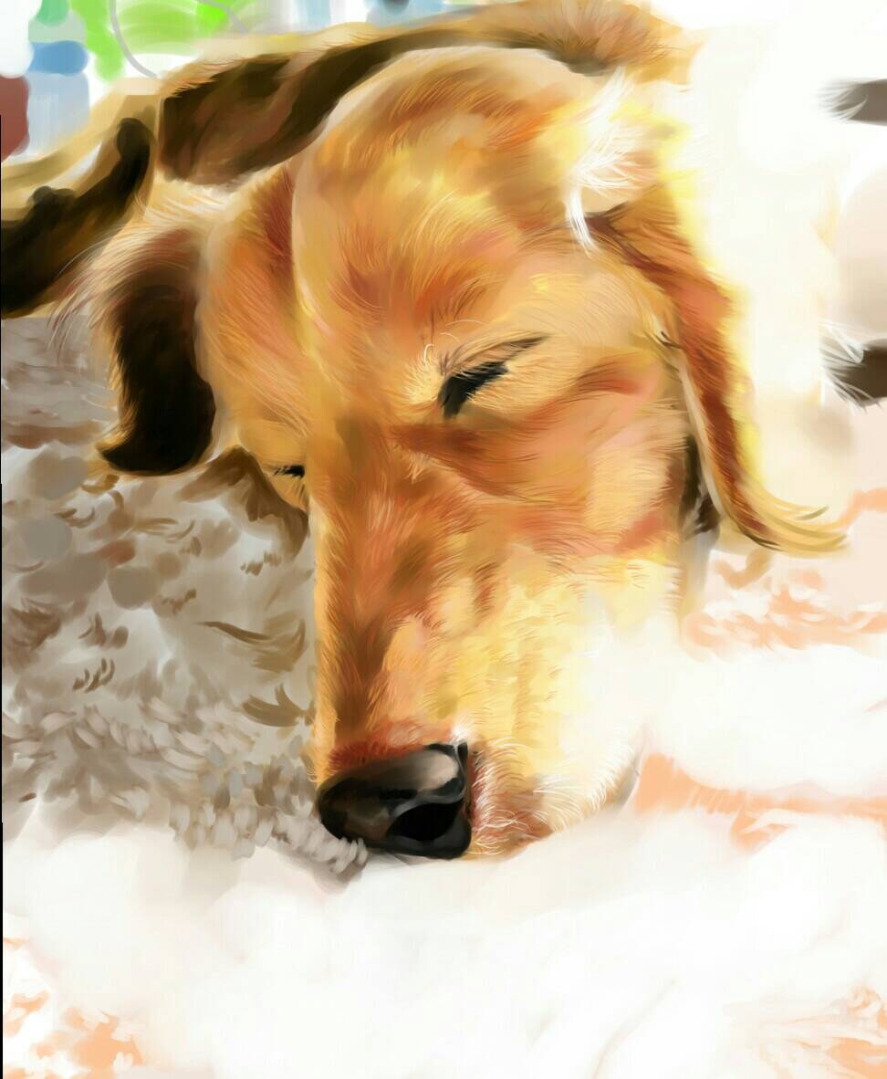 誕生日や母の日など特別な日のために似顔絵を描きます 大切なあの人へ、大切な一枚になりますように イメージ1