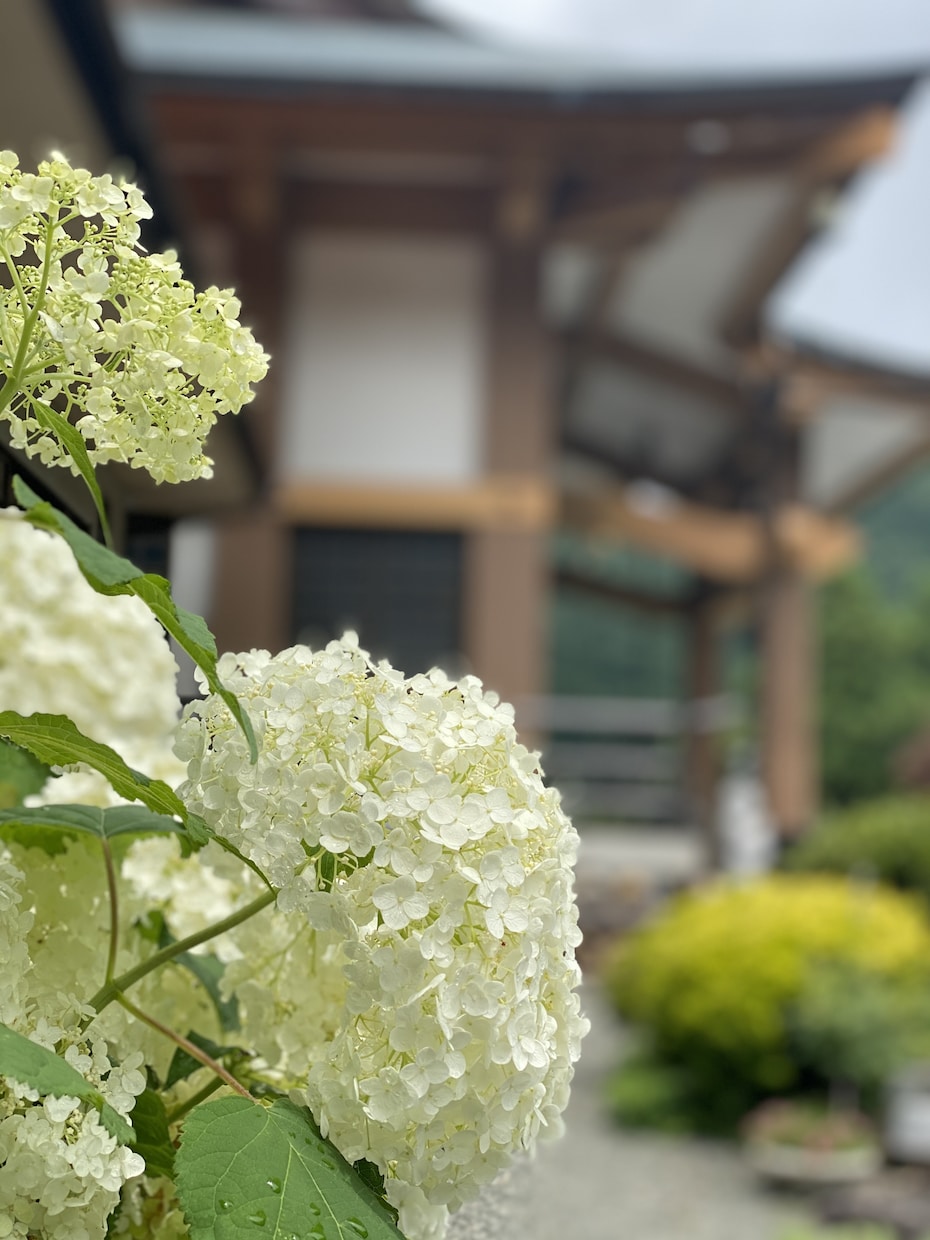 現役のお坊さんが話し相手になります 気軽にどうぞ！短時間でもOK！お坊さんと話しませんか？ イメージ1