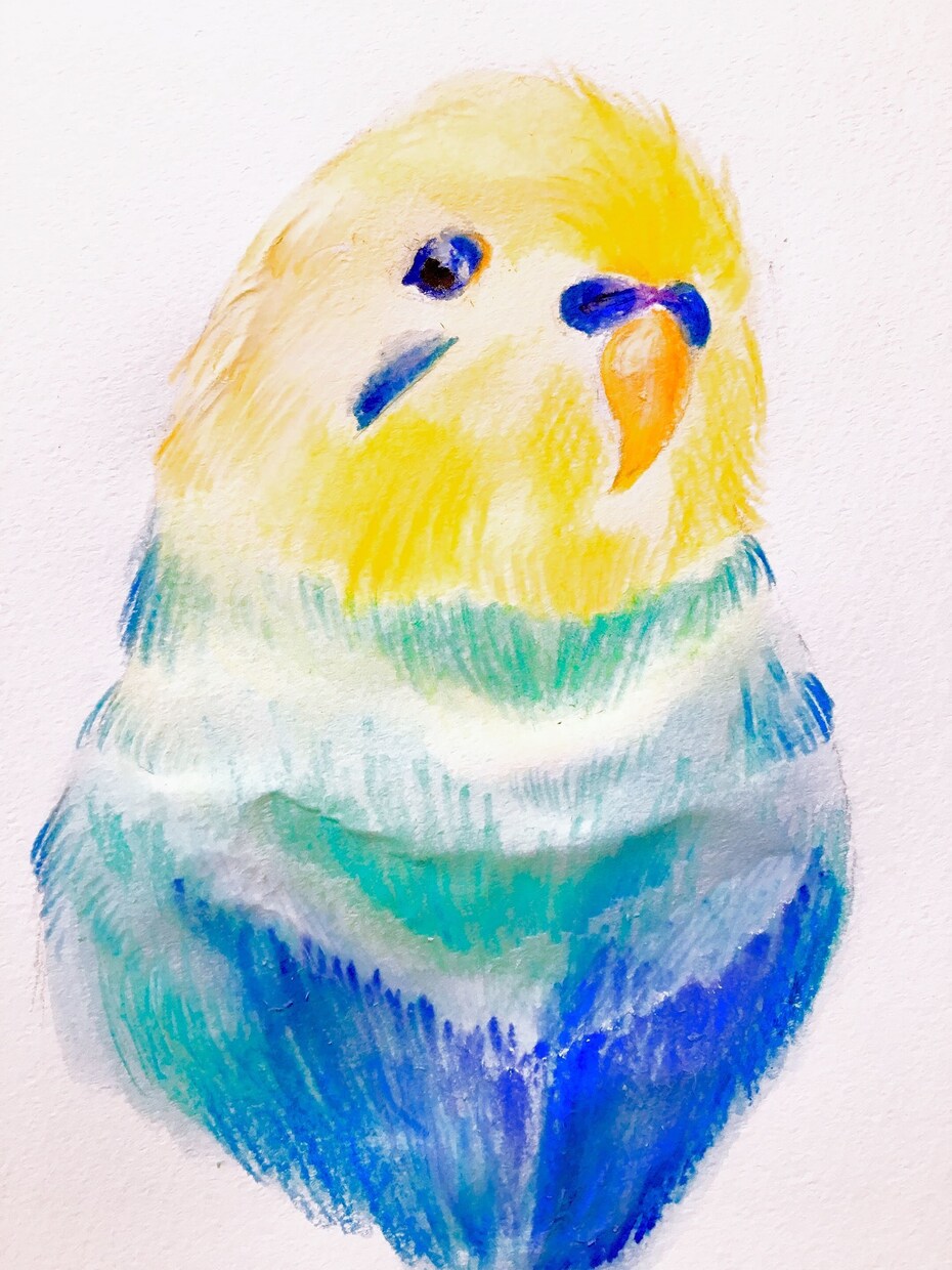 あなたのペットの似顔絵描きます あなたの動物家族(ペット)の似顔絵を描かせて下さい！ イメージ2