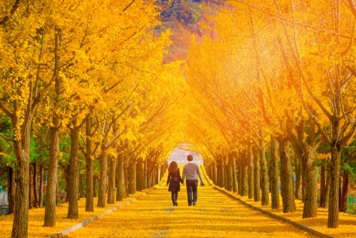 なんでも気軽に相談を聞きます 親切、丁寧、安心をモットーに対応致します。 イメージ1
